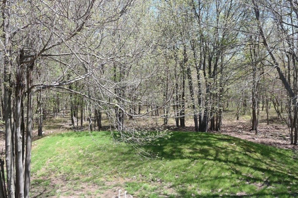 Rentals At Brier Crest Woods Лейк-Хармони Экстерьер фото